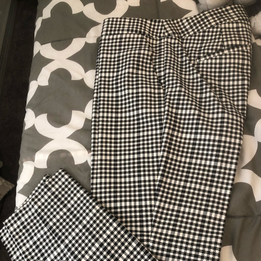 Express Columnist Dress Pants